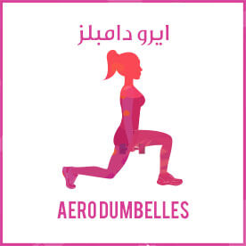 Aero Dumbbells icon